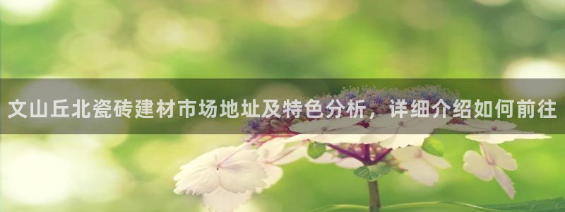 杏鑫官方平台怎么样