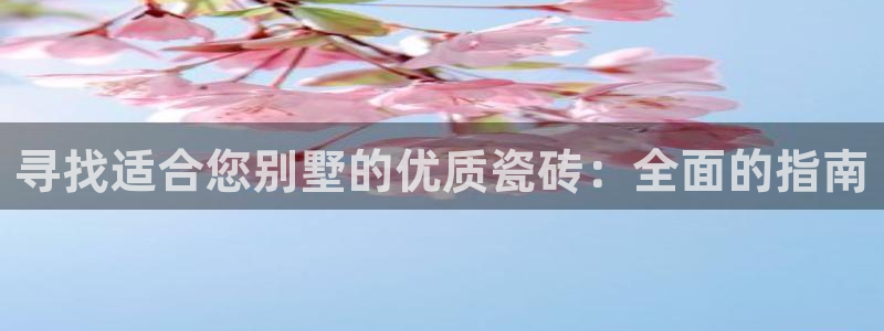 杏鑫平台测速怎么样