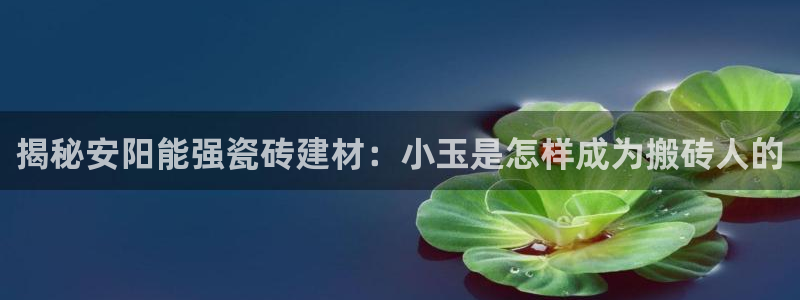 杏鑫平台测速