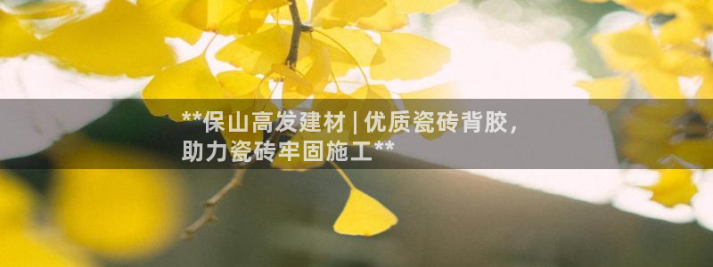 杏鑫平台是黑平台吗