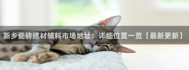 杏鑫平台下载安装