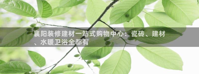 杏鑫平台怎么样