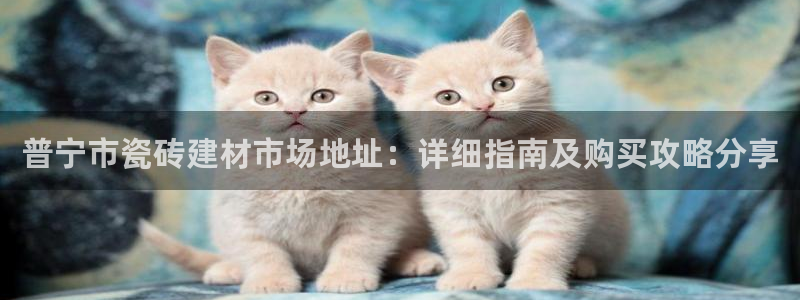 杏鑫平台招商电话号码是多少