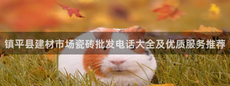 杏鑫平台注册登录