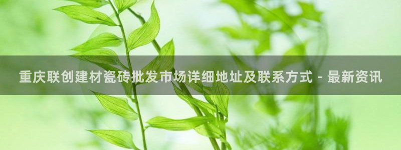 杏鑫官方平台怎么样