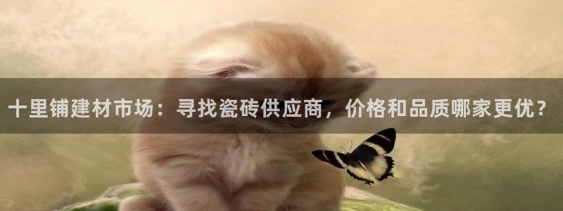 杏鑫平台测速
