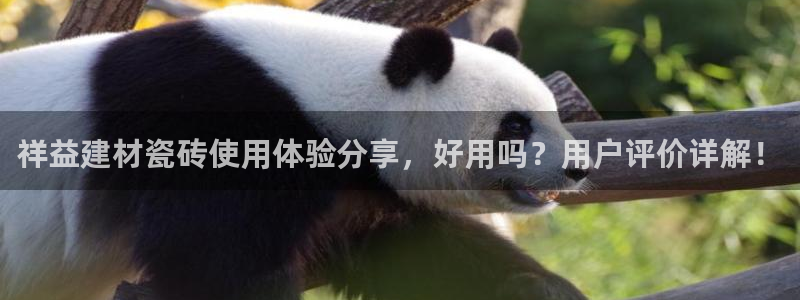 杏鑫平台招商怎么样啊