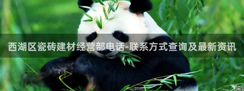 杏鑫平台怎么样黑钱吗是真的吗知乎