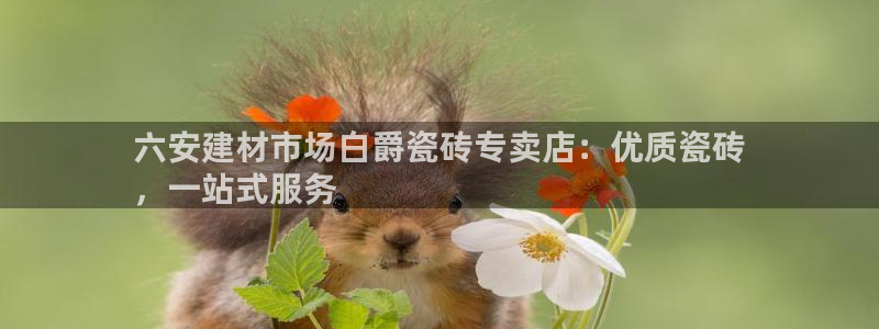 杏鑫平台怎么样黑钱吗安全吗是真的吗