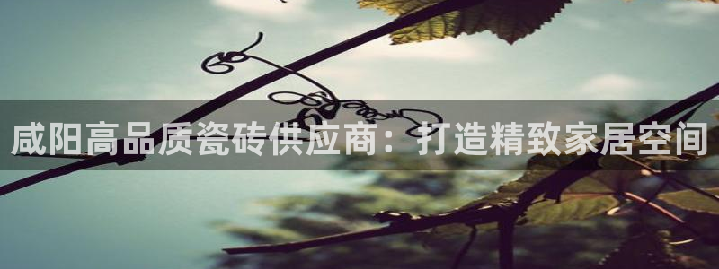 杏鑫官方平台怎么样啊知乎