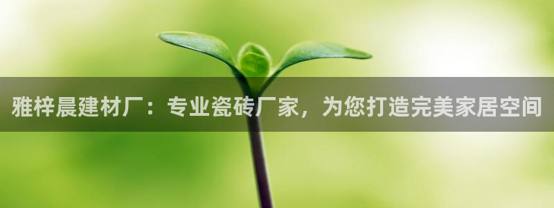 杏鑫平台正规吗