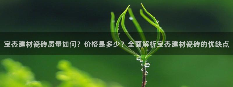 杏鑫官方平台怎么样啊知乎