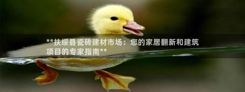 杏鑫平台怎么样黑钱吗安全吗可靠吗