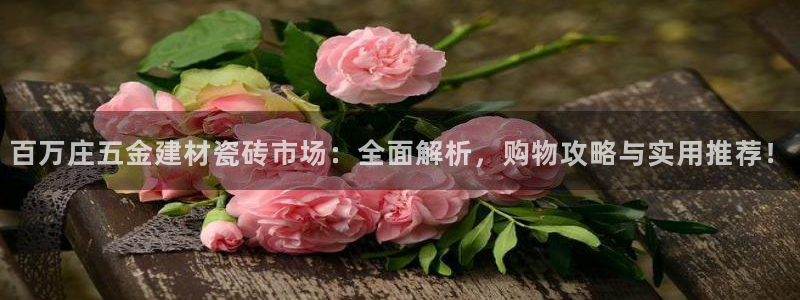 杏鑫平台官方网站