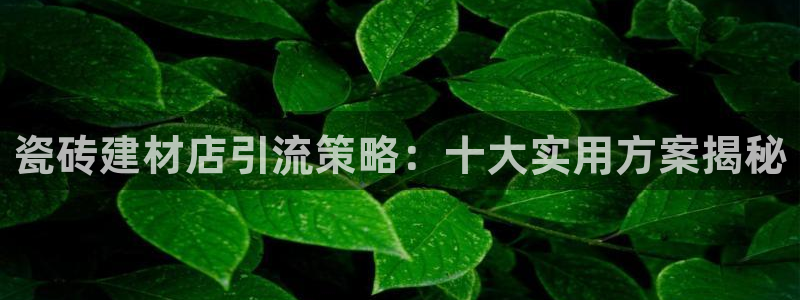 杏鑫官方平台怎么样啊安全吗