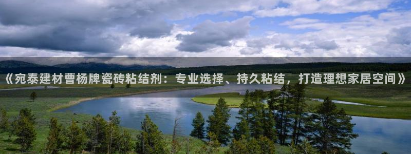 杏鑫平台代理注册