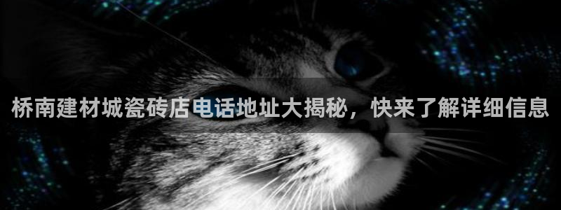 杏鑫主管