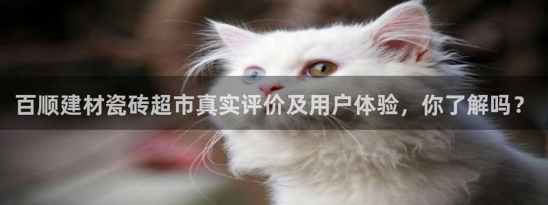 杏鑫平台代理怎么样