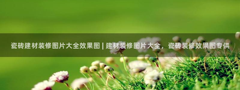 杏鑫平台待遇