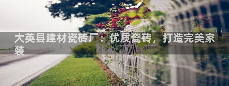 杏鑫平台下载安装