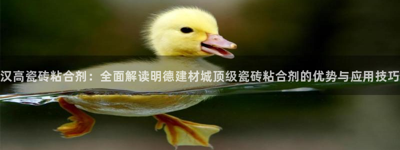 杏鑫娱乐靠谱吗