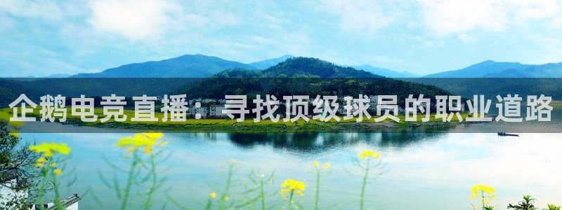 火博电竞官网入口