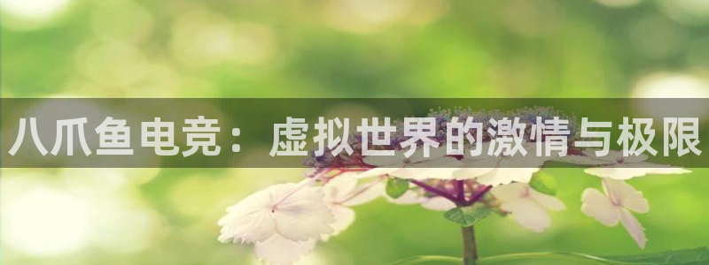 火博电竞app官网网站