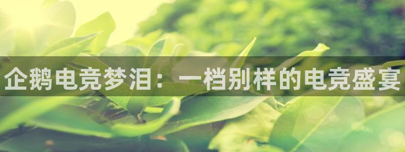 火博电竞