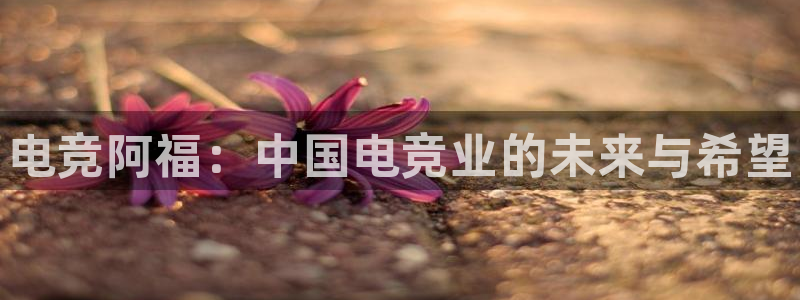 火博电竞网站