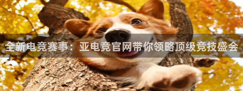 火博电竞官网入口